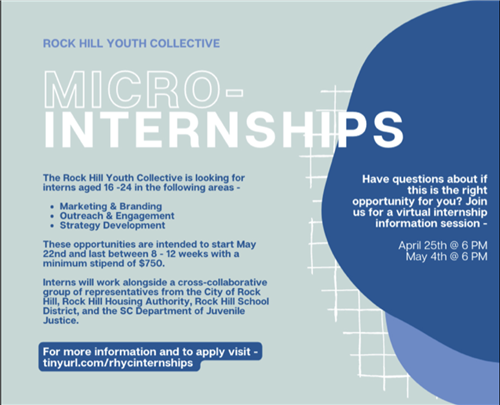 Micro-Internships